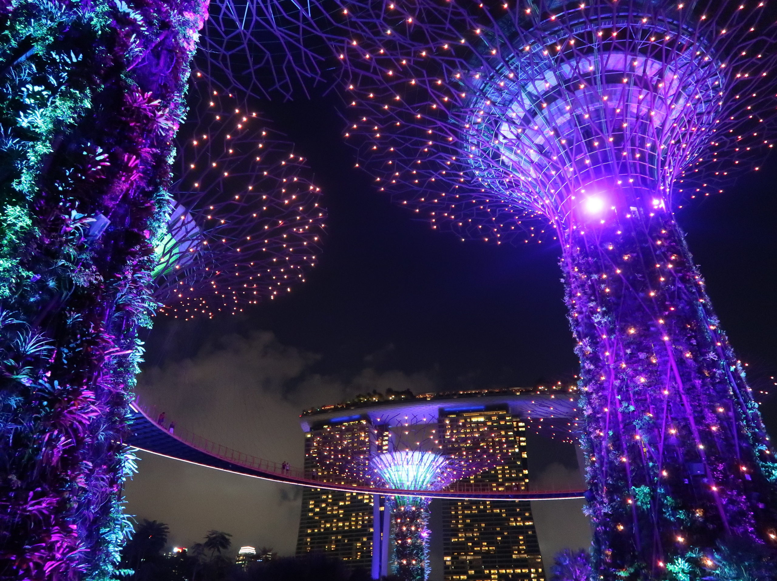 シンガポール 夜の無料ショー ガーデンラプソティ と スペクトラ の感想 オススメ時間 はしごパターンは Dinks旅